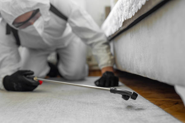 Professional Emergency Pest Control technician working in Petersburg, WV
