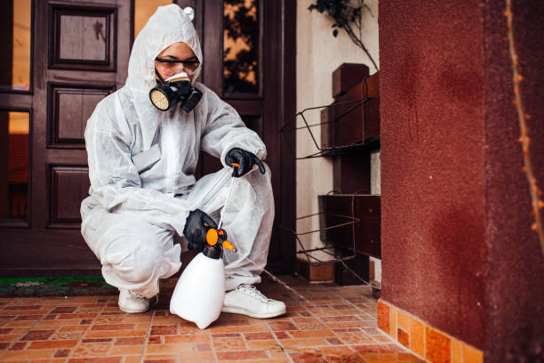 Reliable Emergency Pest Control contractor in Petersburg, WV by Nex Pest Control